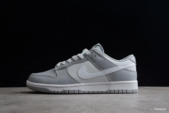 DJ6188-001 Low Two Dunk Tone Grey NNike 0124